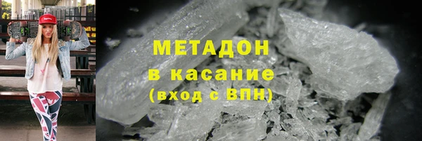 прущие грибы Белокуриха