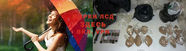 гидра Белоозёрский
