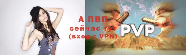 прущие грибы Белокуриха