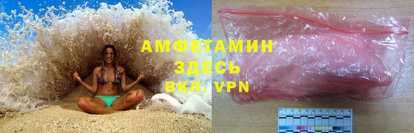 прущие грибы Белокуриха