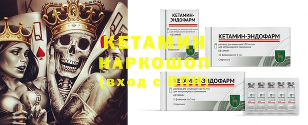 прущие грибы Белокуриха
