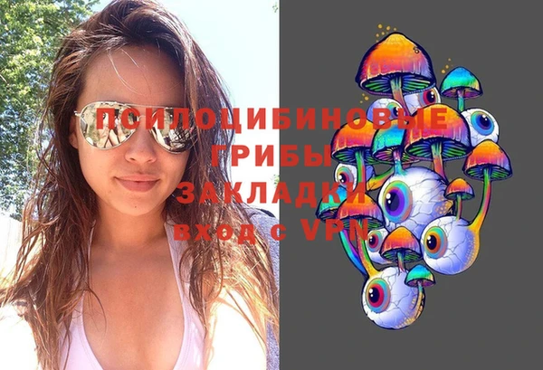 гидра Белоозёрский